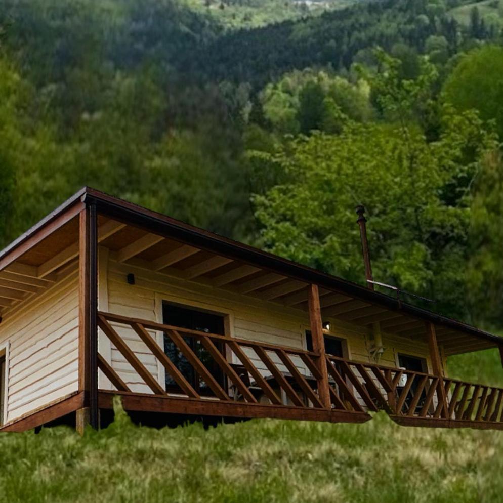 Holiday home Obriyslavsko Slavske